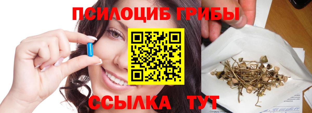 магазин продажи наркотиков  Вход с VPN  Новотроицк  Псилоцибиновые грибы MAGIC MUSHROOMS 